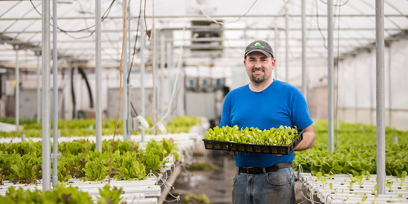 Farmer holding a flat of lettuce plants