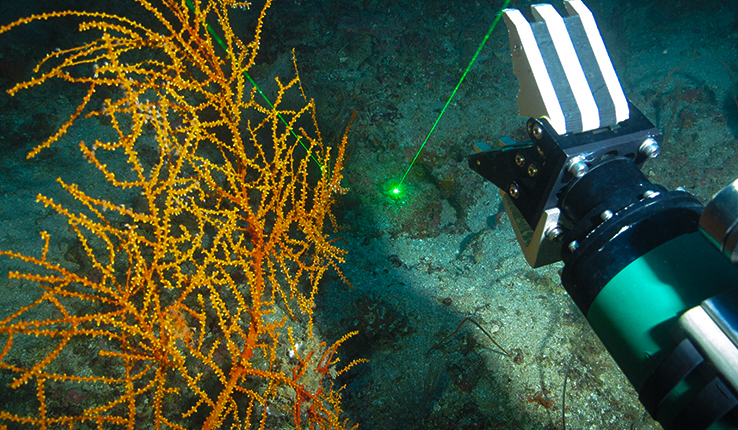 Robotic arm cutting deepsea coral