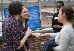 Community Fellows