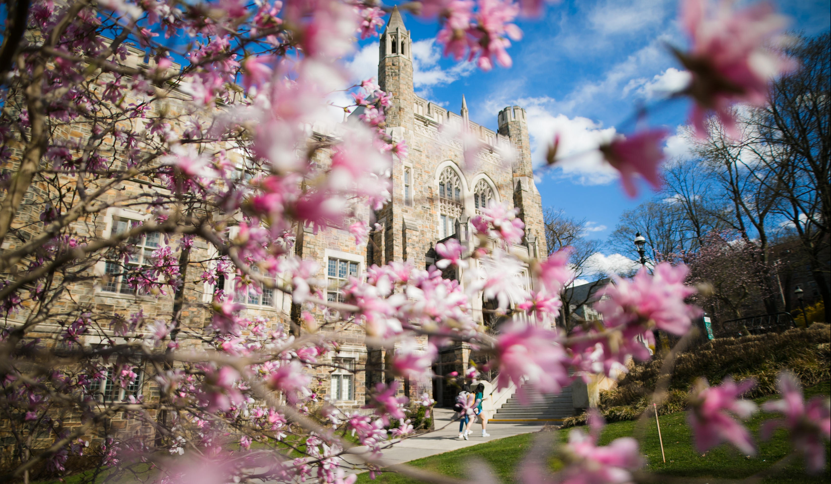 The beautiful Lehigh campus in spring