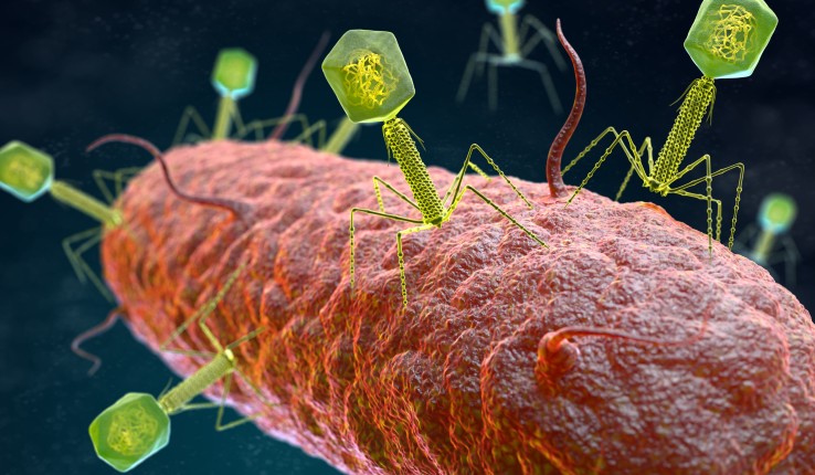 3D illustration of a bacteriophage virus attacking a bacterium.