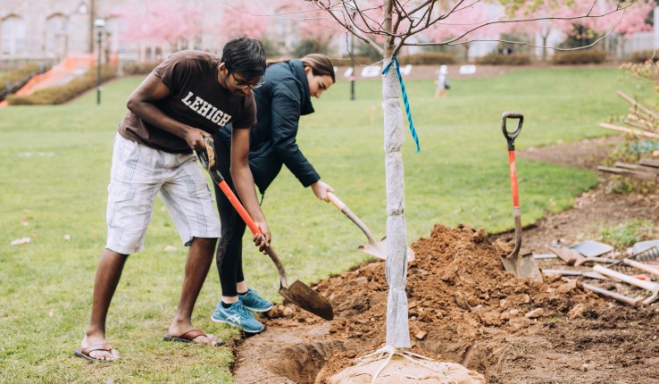 Students on campus planting a tree