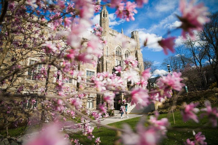 Lehigh Campus in Spring