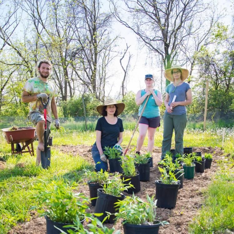 Volunteers working in a community garden