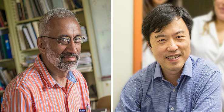 Lehigh professors Anand Jagota and Frank Zhang