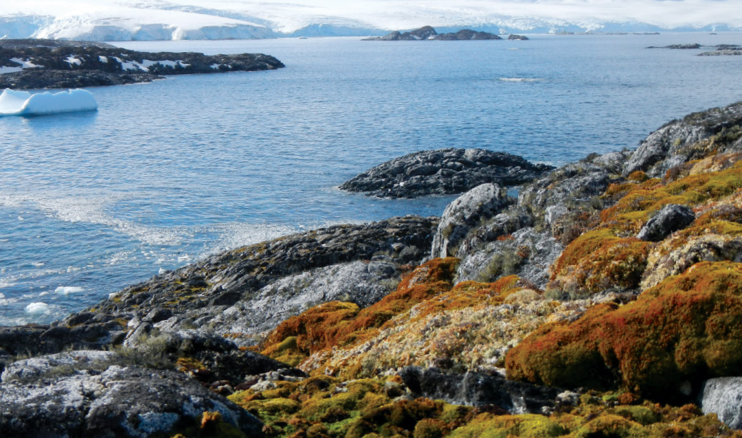Peatlands and sea with snowy mountains