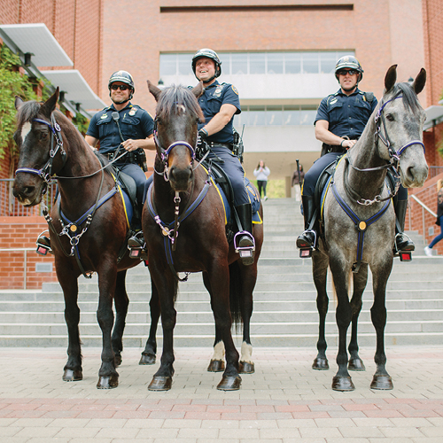 LUPD on horses