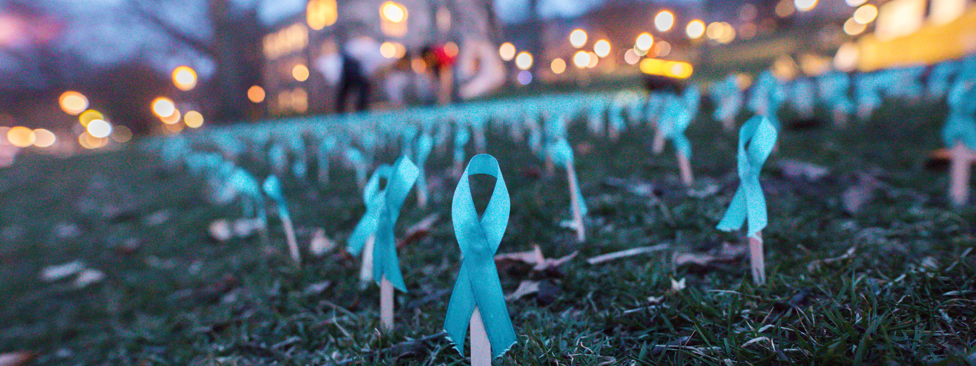 Combating Sexual Assault And Gender Violence Lehigh University