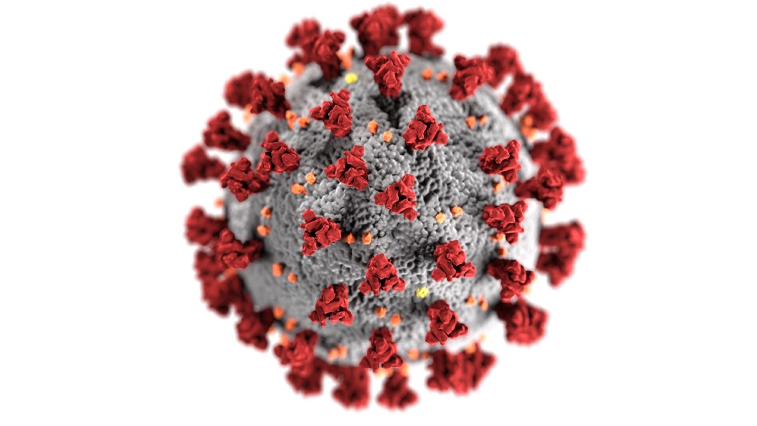 Illustration of Coronavirus bacteria