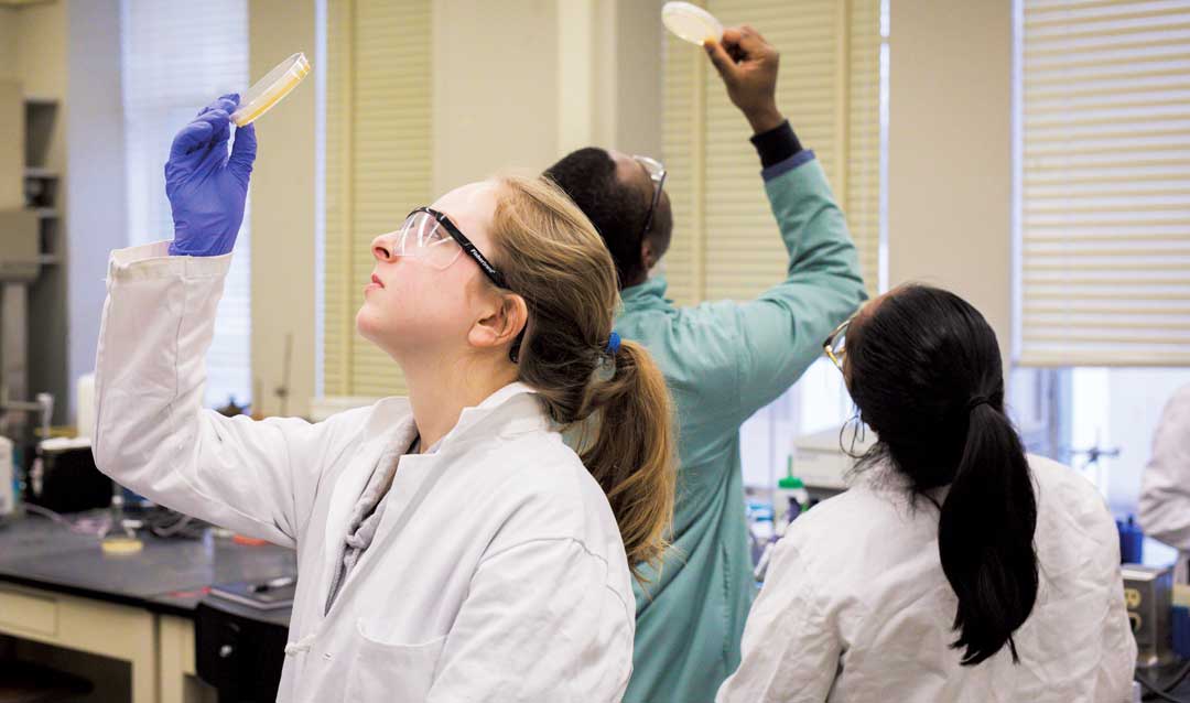 Students hunt for viruses in soil samples