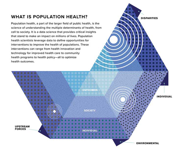 diagram  on multiple determinants of health