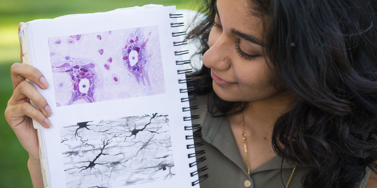 Sarrah Hussain shows her illustrations