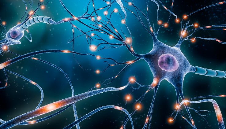 Artist rendering of a neuronal network with electrical activity