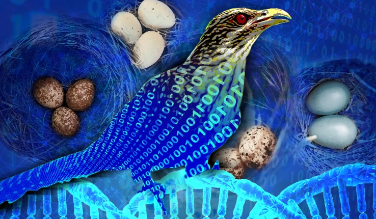 Illustration of a bird, eggs and a strand of DNA