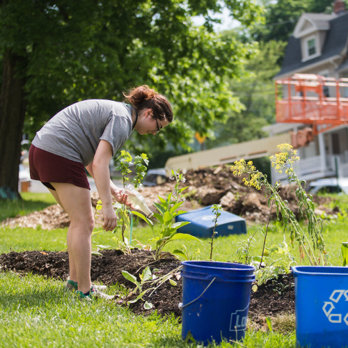 Student gardening