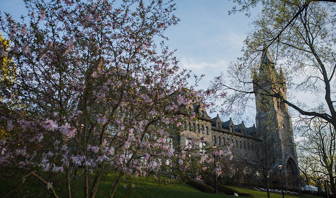 Spring flowers in front of Lehigh University's University Center