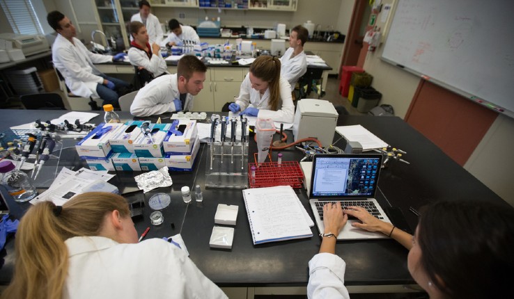 Women working in a Lehigh lab