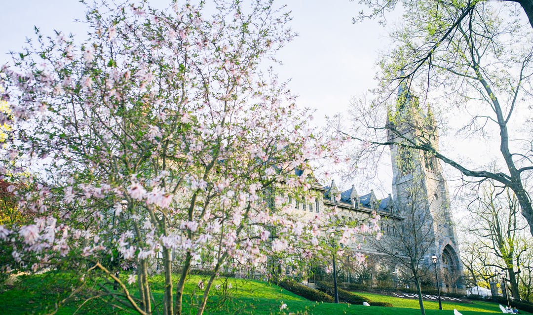 Lehigh University's University Center in background with springtime flowering tree in foreground