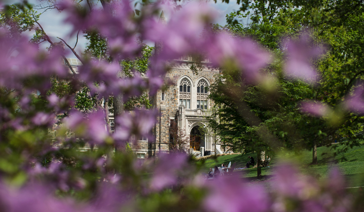 Linderman in spring