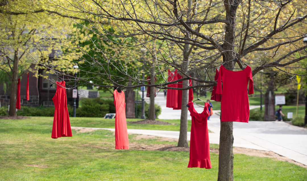 Red dresses hang in trees on Lehigh campus