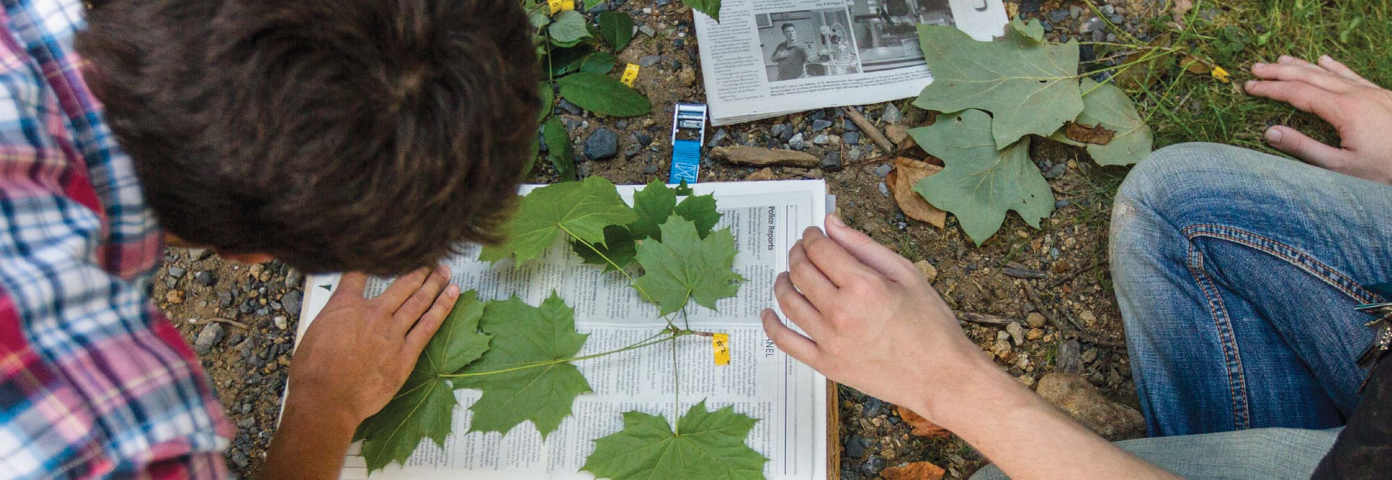 Close up of students sitting on the ground looking at leaves on top of an open book