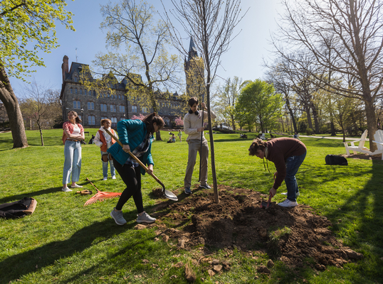 Students plant a tree on the UC lawn