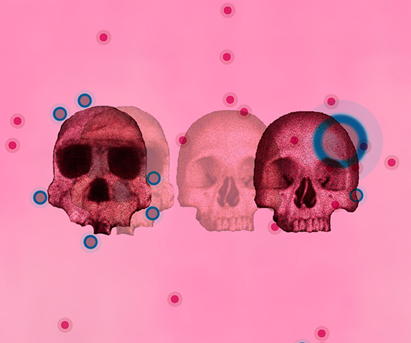 Illustration of multiple skulls