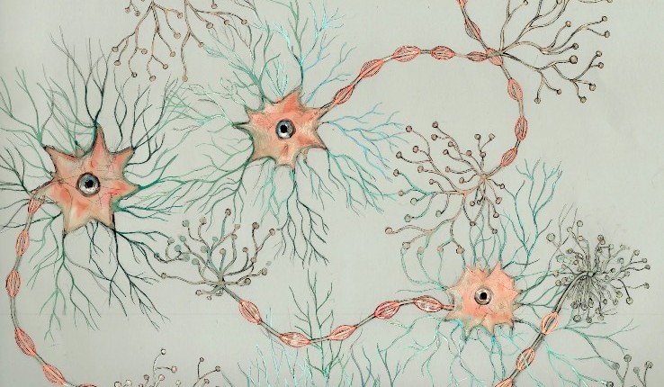 illustration of neurons