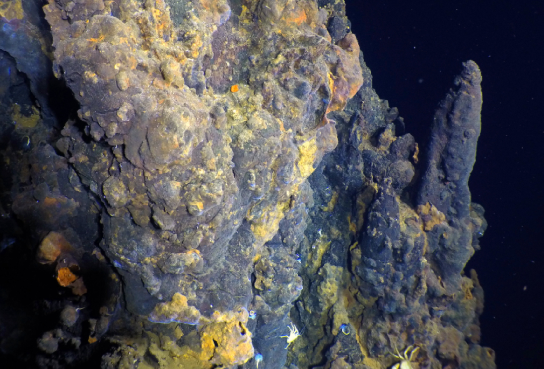 Sulfide structures at the YBW-Sentry vent field
