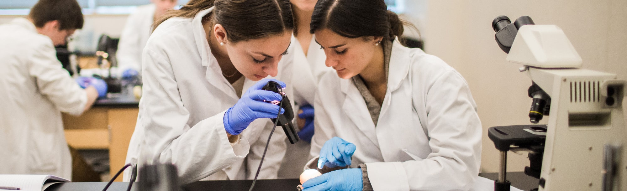 Research - Research Centers and Institutes Hero