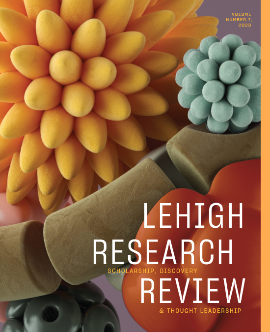 Lehigh Research Review Vol 7 Cover