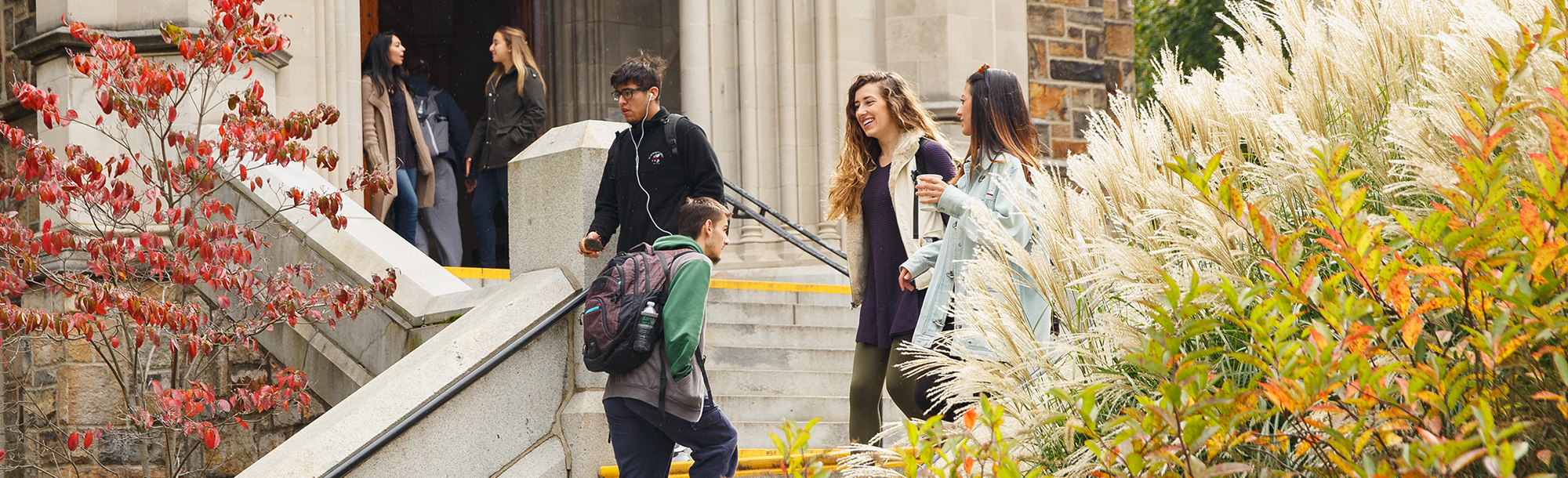 Students passing each other on the library steps with fall foliage in the foreground