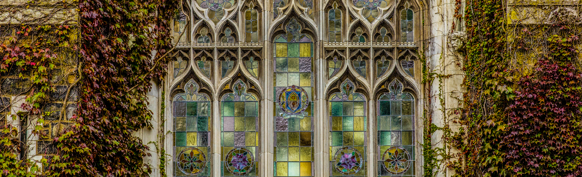 Close up of stained glass windows on an ivy covered building