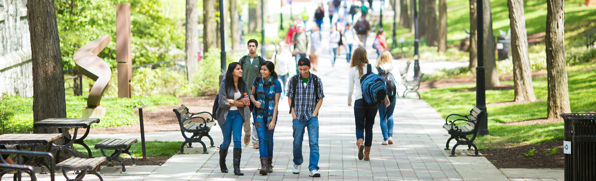 Group of students walking down a path on campus