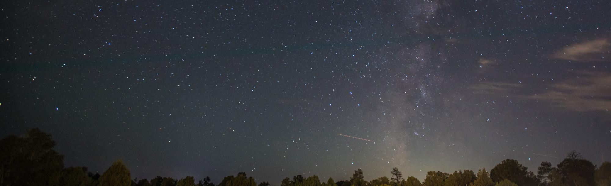 Night sky over trees