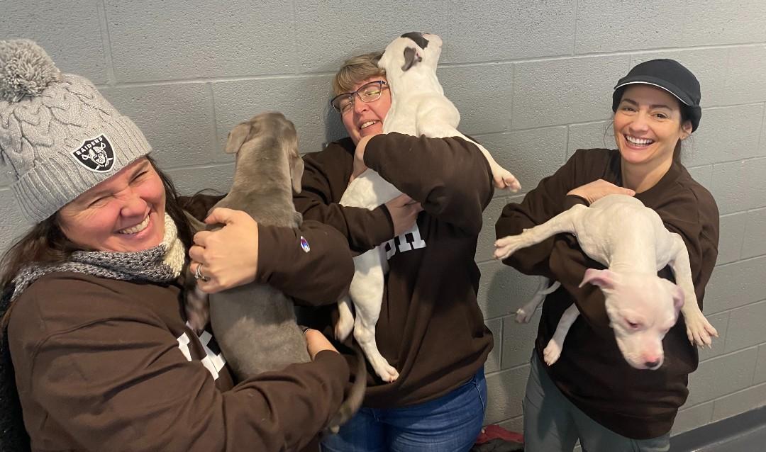 Daniele Holland, Cindy Hart, and Janele Krzywicki with wiggly pitbull puppies