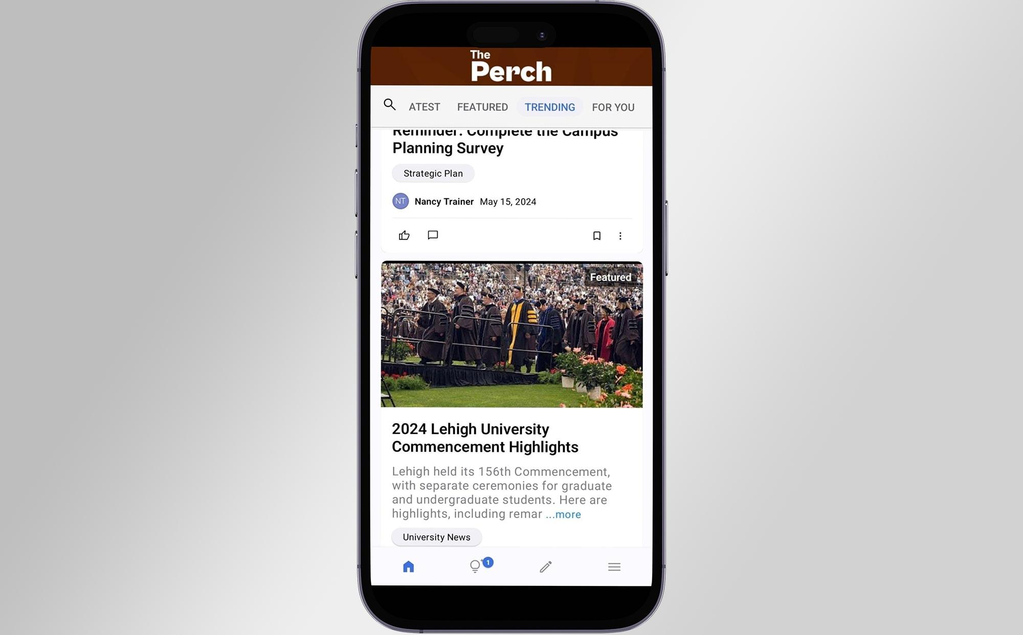 Perch Mobile App on phone