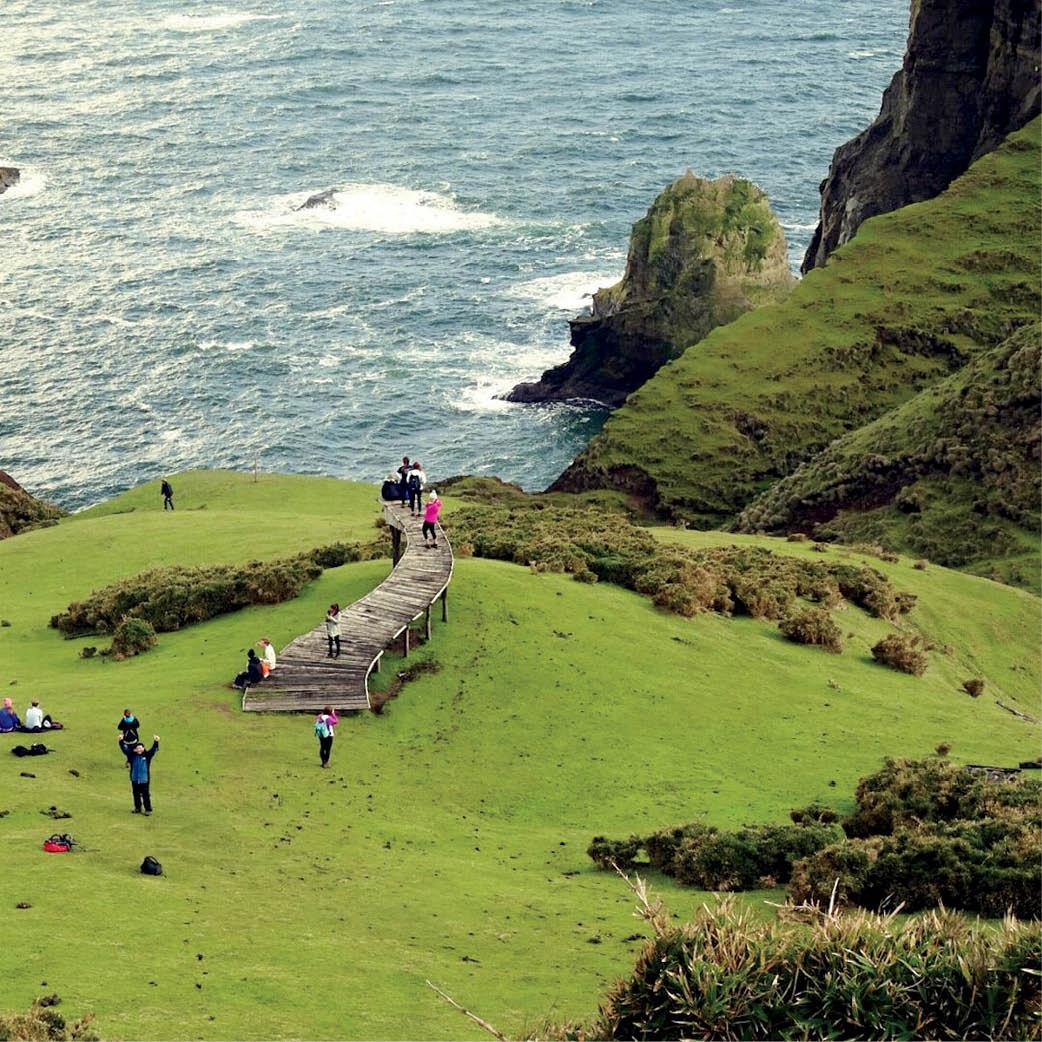 Coastline in Chiloe Island