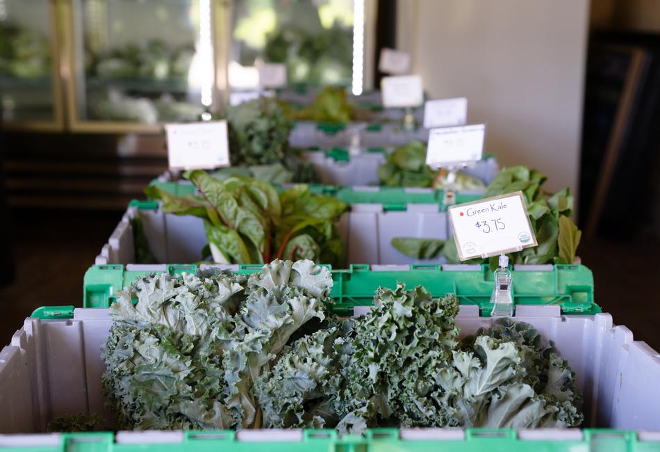 Produce inside the farm stand