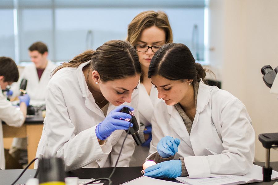 Three women in lab coats work together in a laboratory. Two of them are looking into a microscope, while the third observes. They are surrounded by lab equipment and windows in the background allow natural light into the room.