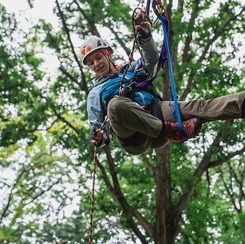 Student climbing tree
