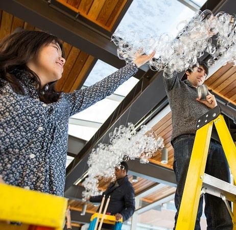 Students on a ladder