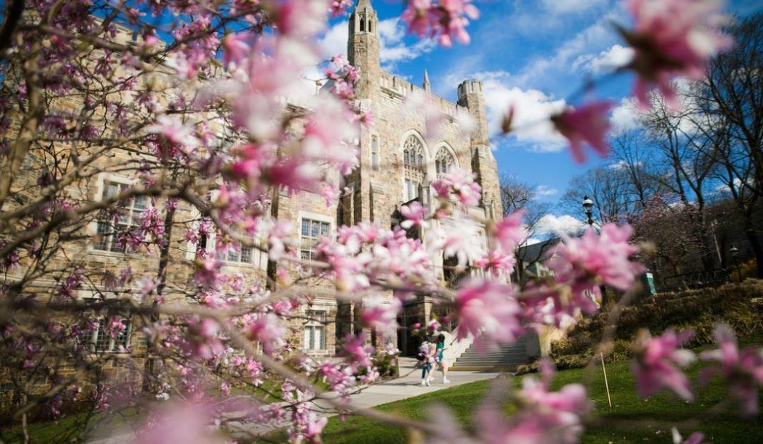 Linderman Library seen through pink flowers blooming