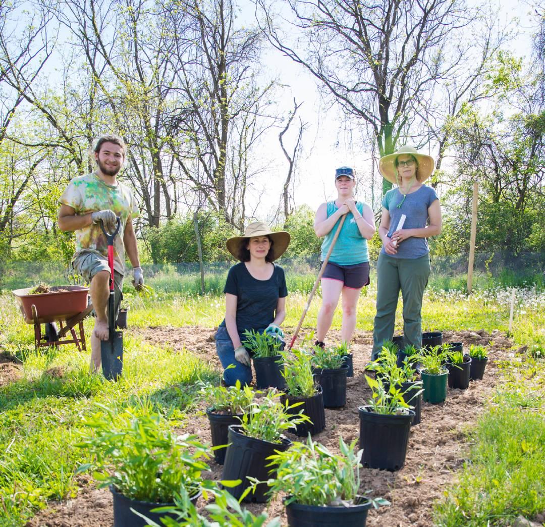 Volunteers working in a community garden