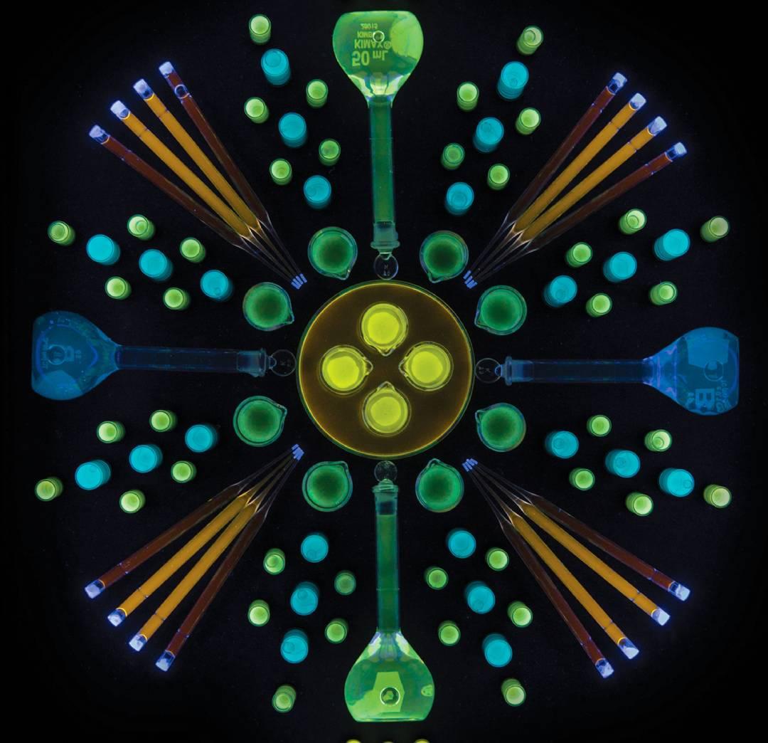 Abstract image of colors and shapes on a black background