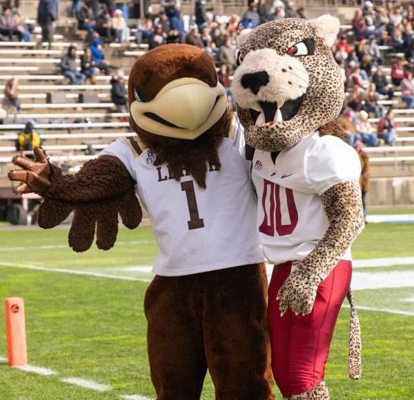Two mascots posing on a football field
