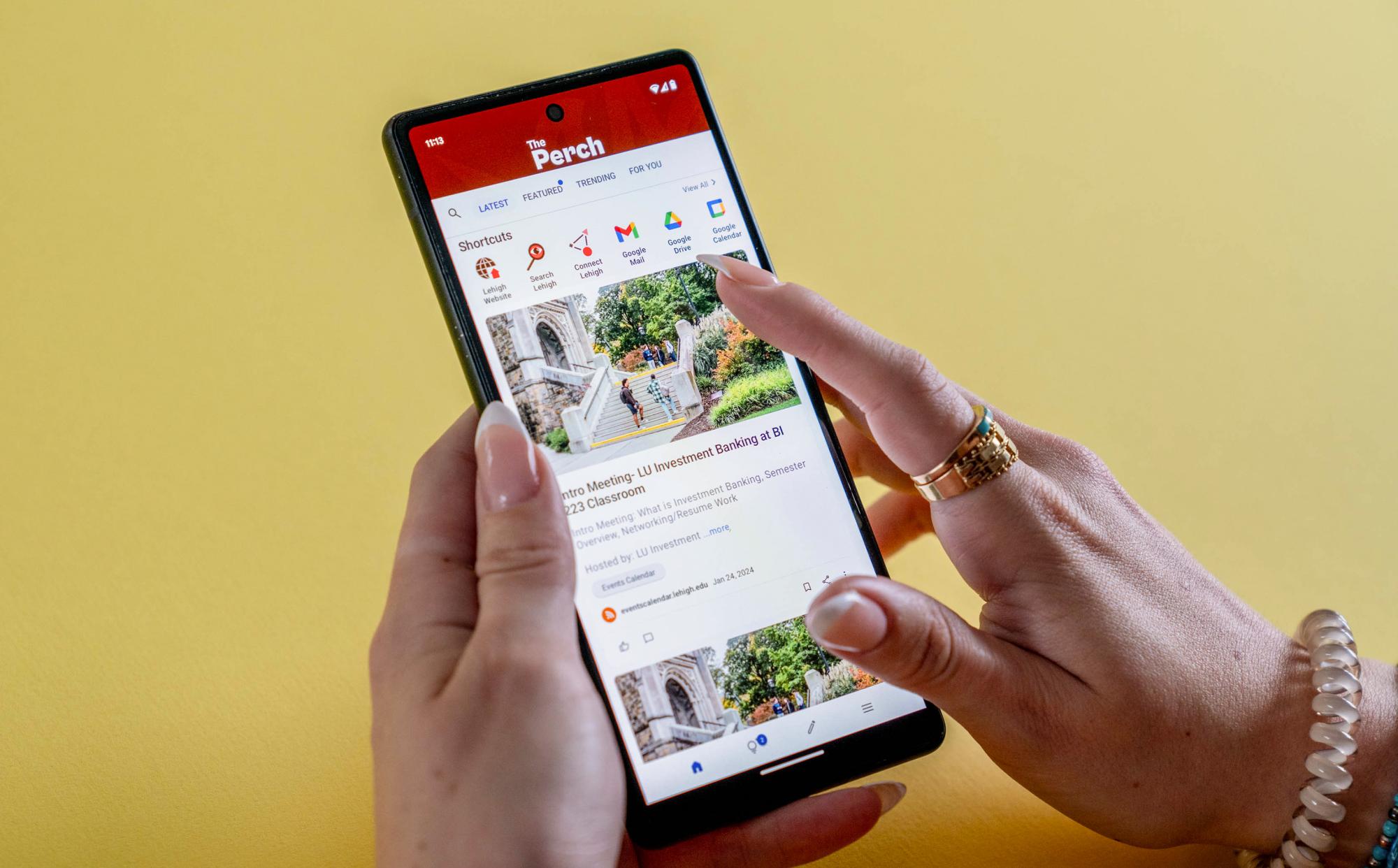 Perch Mobile App on phone