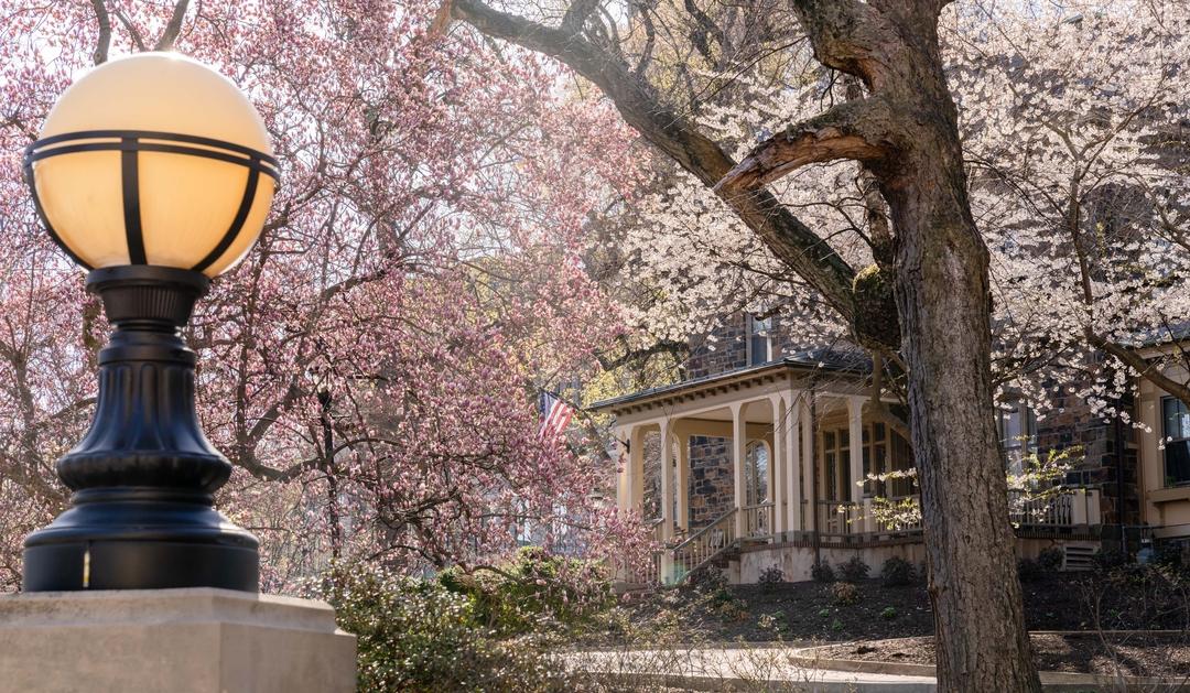 Ornate black lamp post, vibrant pink cherry blossoms, and a house with a porch.