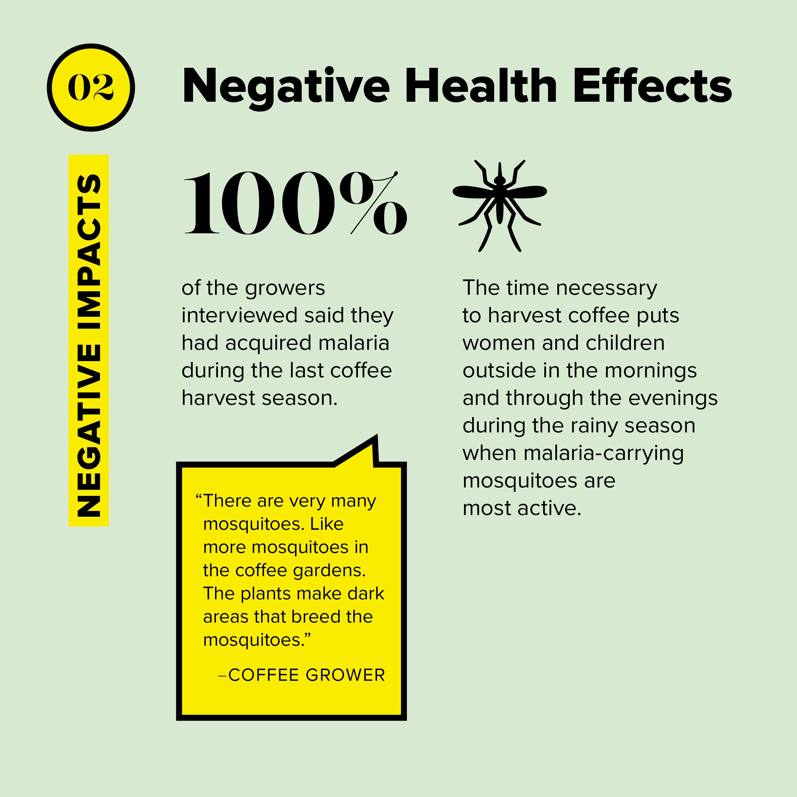 100% of the growers interviewed said they had acquired malaria during the last coffee harvest season.