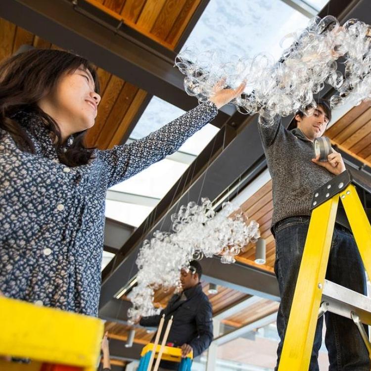 Students on a ladder